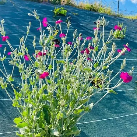 Nyaraló Le Du Bonheur Avec Jacuzzi Privatif Urimenil