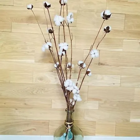 Le Du Bonheur Avec Jacuzzi Privatif Urimenil