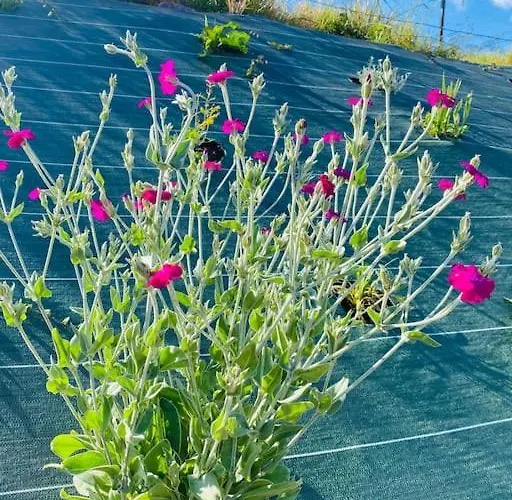 Semesterbostad Le Du Bonheur Avec Jacuzzi Privatif Urimenil
